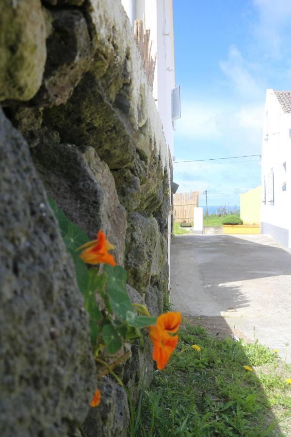Casa Das Camarinhas Raal 542- Casa Partilhada Ginetes Exteriör bild